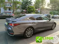 Usata Lexus ES300 Luxury Line 178 CV (130 kW) 2019 Grigio Berlina