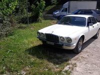 Usata Jaguar XJ6 1981 Bianco Berlina