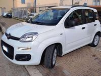 Usata Fiat Panda 75 CV (55 kW) 2013 Bianco Utilitaria