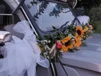 Usata Citroën 2CV Charleston 29 CV (21 kW) 1987 Grigio Berlina