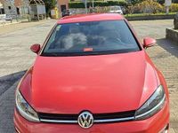 Usata VW Golf VII Business 116 CV (85 kW) 2017 Berlina