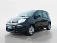 usata Fiat Panda New1.0 FireFly Hybrid