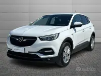 Usata Opel Grandland X Business Edition 131 CV (96 kW) 2021 Bianco SUV