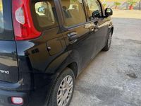 Usata Fiat Panda Easy 69 CV (50 kW) 2020 Utilitaria