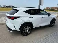 Usata Lexus NX450h+ Sport Line 185 CV (136 kW) 2022 Bianco perla met. SUV
