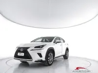 Usata Lexus NX300h Executive Line 155 CV (114 kW) 2018 Bianco SUV