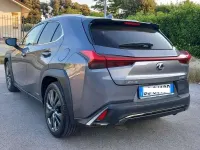 Usata Lexus UX Sport Line 145 CV (106 kW) 2020 Grigio SUV