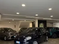 Usata Fiat Punto Street 70 CV (51 kW) 2016 Blu Utilitaria