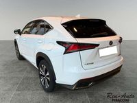 Usata Lexus NX300h Sport Line 197 CV (144 kW) 2018 Bianco SUV