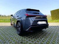 Usata Lexus UX 250h 184 CV (135 kW) 2019 Grigio SUV