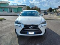 Usata Lexus NX300h Luxury Line 154 CV (113 kW) 2017 Bianco SUV