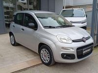 Usata Fiat Panda Easy 69 CV (50 kW) 2020 Argento Utilitaria