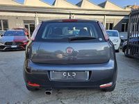 Usata Fiat Punto Lounge 75 CV (55 kW) 2014 Grigio Utilitaria