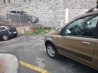 Usata Fiat Panda 4x4 Climbing 69 CV (50 kW) 2010 Bronzo Utilitaria