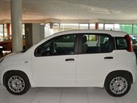 usata Fiat Panda - 1.0 70cv HYBRID