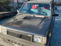 Usata Fiat Panda 4x4 1993 Utilitaria