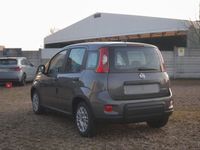 usata Fiat Panda 1.0 HYBRID pronta consegna, senza obbligo di finanziamento!