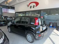 Usata Fiat Panda S 69 CV (50 kW) 2024 Nero Utilitaria