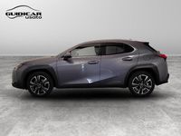Usata Lexus UX 2021 Grigio SUV