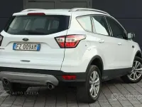 Usata Ford Kuga Titanium 120 CV (88 kW) 2019 Bianco SUV