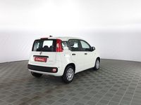 Nuova Fiat Panda Icon 65 CV (47 kW) 2025 Bianco gelato Utilitaria