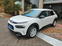 usata Citroën C4 Cactus BlueHDi 100 S&S Shine