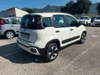 Usata Fiat Panda Cross Cross 69 CV (50 kW) 2021 Bianco Utilitaria