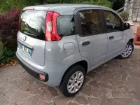Usata Fiat Panda 85 CV (62 kW) 2018 Grigio Utilitaria