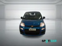 Nuova Fiat Panda Icon 69 CV (50 kW) 2025 Blu Utilitaria