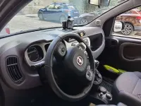 Usata Fiat Panda Cross Cross 69 CV (50 kW) 2021 Grigio Utilitaria