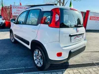 Usata Fiat Panda 4x4 S 95 CV (69 kW) 2016 Bianco Utilitaria