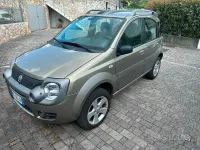 Usata Fiat Panda 4x4 Cross 69 CV (50 kW) 2008 Marrone Utilitaria