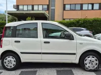 Usata Fiat Panda Dynamic 69 CV (50 kW) 2011 Bianco Utilitaria
