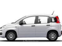 Nuova Fiat Panda Icon 69 CV (50 kW) 2025 Bianco Berlina