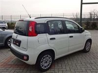 usata Fiat Panda 1.2 Lounge 69cv ADATTA X NEOPATENTATI Abbiategrasso