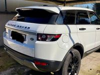 Usata Land Rover Range Rover evoque Prestige 190 CV (139 kW) 2015 Bianco SUV