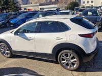 Usata Mazda CX-30 Evolve 150 CV (110 kW) 2023 Bianco SUV