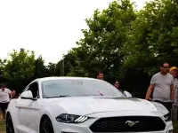 Usata Ford Mustang Fastback 290 CV (213 kW) 2019 Coupé