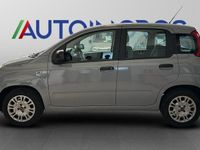 Usata Fiat Panda City Life 69 CV (50 kW) 2022 Grigio Utilitaria