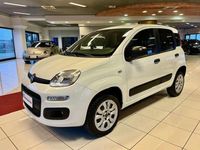 Usata Fiat Panda 4x4 Pop 86 CV (63 kW) 2020 Bianco Utilitaria