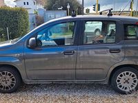 Usata Fiat Panda Lounge 69 CV (50 kW) 2017 Grigio Utilitaria
