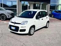 Nuova Fiat Panda Icon 70 CV (51 kW) 2026 Bianco Utilitaria