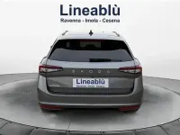 Usata Skoda Superb Selection 150 CV (110 kW) 2025 Grigio Station wagon
