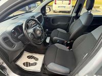 Usata Fiat Panda Easy 95 CV (69 kW) 2017 Argento Utilitaria