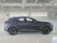 Usata Cupra Formentor 150 CV (110 kW) 2022 Grigio SUV