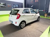 Usata Kia Picanto 67 CV (49 kW) 2015 Bianco Utilitaria