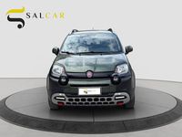 Usata Fiat Panda Cross Cross 95 CV (69 kW) 2016 Verde Utilitaria
