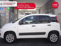 Usata Fiat Panda 4x4 S 84 CV (61 kW) 2019 Bianco Utilitaria