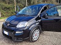 Usata Fiat Panda S 69 CV (50 kW) 2023 Nero Utilitaria