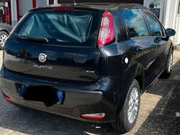 Usata Fiat Punto Evo Emotion 95 CV (69 kW) 2011 Utilitaria